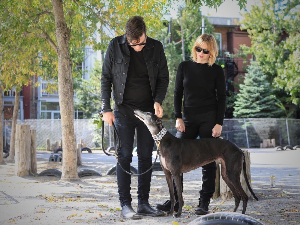 Dogs of Montreal Meet Dara Montreal Gazette