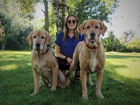 Laurie Blumer squats with her golden retrievers Dexter and West in Montreal West.
(Photo by Paul Labonté)