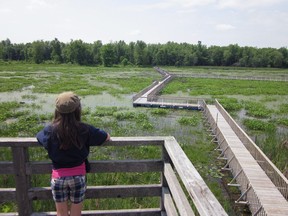 A floating walkway over a marsh is one of the attractions at Parc national de Plaisance, a Quebec provincial park in the Outaouais.