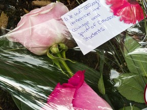 On the fifth anniversary of the shooting at Dawson College, the college inaugurated an "Ecological Peace Garden" in Montreal on Tuesday, September 13, 2011. The peace garden is meant as a living memorial to Anastasia De Sousa, the 18-year-old student who was killed and to the courage of those affected by the tragedy. Flowers were left under the tree (flowering almond) in Anastasia's Garden at Dawson College.