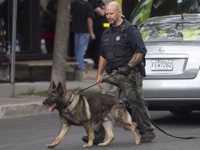 Police dog and trainer search a laneway between Clark and Saint-Urbain Sts. after a bank robbery in Montreal Sept. 2, 2016.