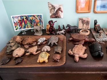 Cohen's displays his turtle collection in the bedroom. (Dave Sidaway / MONTREAL GAZETTE)
