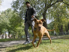 Benjamin Perez walks with Myo, a 10-month-old pit bull mix, at N.D.G. Park in Montreal, on Tuesday Sept. 27, 2016.