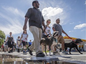People take part in a protest against breed-specific legislation for dogs at Pelican Park in Montreal on Saturday, July 16, 2016. The demonstration was against the recent proposed bans on pit bull dogs in Quebec.