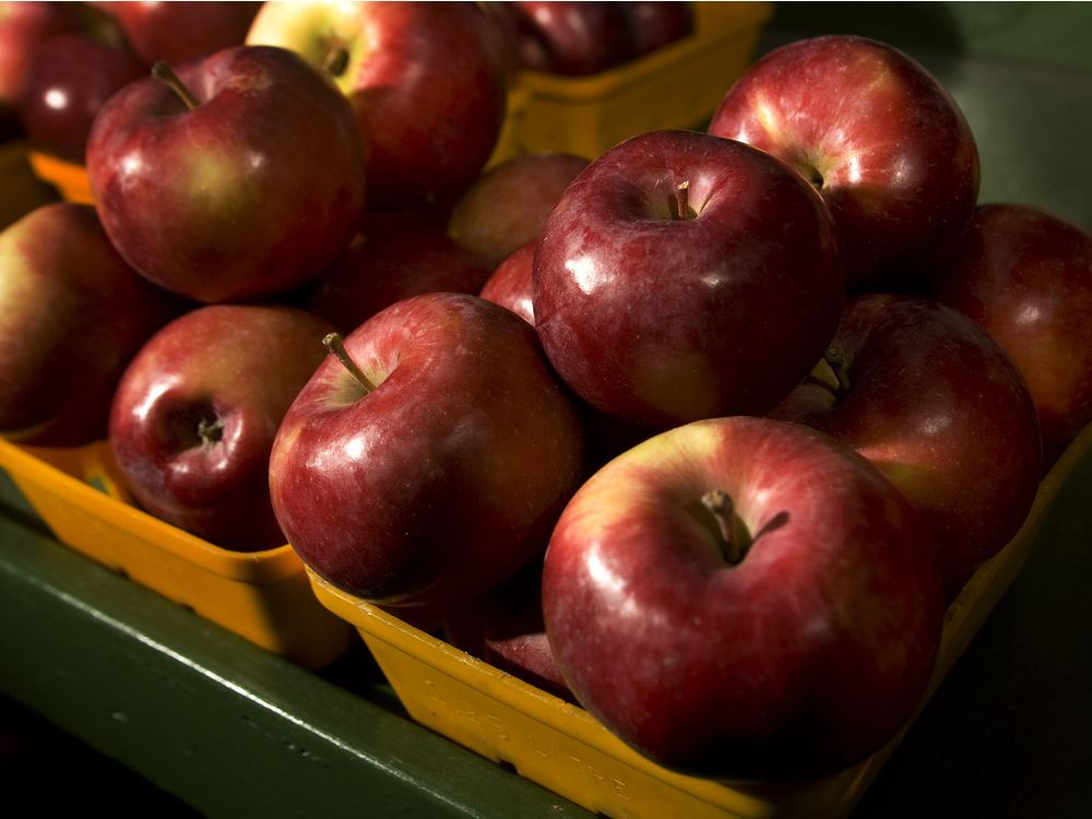 Best Buys Look for local McIntosh, Spartan and Gala apples Montreal