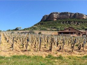 Springtime in Pouilly-Fuissé, which remains a relative bargain in Burgundy, where prices of better known apppellations have jumped. Credit: Bill Zacharkiw
