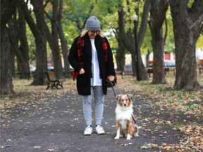 Basil the Mini Australian shepherd on a early morning walk through Baldwin Park.