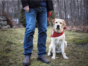 Bono the Labrador Retriever with owner Serge Marois in the town of Prévost. Paul Labonté / Special to the Gazette