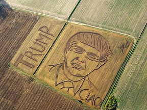Italian land artist Dario Gambarin used his tractor to transform a field near the Italian city of Verona into a giant portrait of Donald Trump in October 2016. He created a similar portrait for Democratic nominee Hillary Clinton in September.