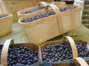 Wild blueberries from Quebec: those willing to pay can find them at Atwater Market this week.