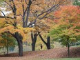 A woman runs amid colourful trees on an autumn day at Mount Royal Park in Montreal on Thursday, October 20, 2016.