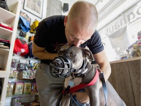 Nick Pensa comforts his dog, a 2 1/2-year-old pit bull named Priya, after succeeding to put a muzzle on her at the Doghaus pet shop in NDG, Montreal, Monday October 3, 2016.