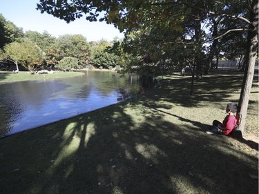 Ethan Li sits by the pond in Westmount Park on Friday, October 7, 2016. He was there with his mother, Qing.