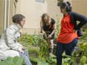 Diana Rice, left, Anna-Liisa Aunio and Orenda Boucher wanted Dawson's Three Sisters Garden to be an acknowledgment that the school sits on indigenous land.