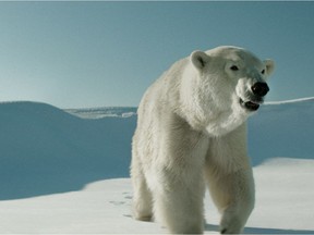 Montrealer Kim Nguyen's fifth feature film, Two Lovers and a Bear, was filmed in Ontario and Nunavut. It tells the story of two tortured souls – Roman (Dane DeHaan) and Lucy (Tatiana Maslany) – living in a community of 200 inhabitants near the North Pole. It also stars polar shebear Aggi.