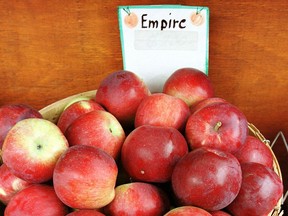 The first pickings of Cortland and Empire varieties are coming to market but plenty of McIntosh, Spartan, Paula Red and Lobo apples are in town, some on the small side because of the summer drought, but crisp and sweet.
