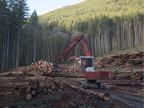 A section of forest is harvested by loggers near Youbou, B.C. in 2015.