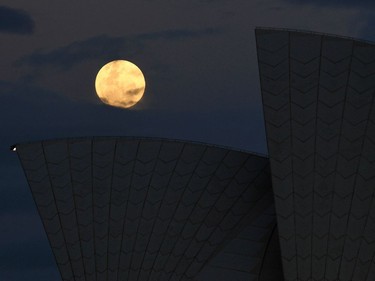 The "supermoon" rises over the sails of the Sydney Opera House Nov. 14, 2016. The moon will be the closest to Earth since 1948 at a distance of 356,509 kilometres (221,524 miles), creating what NASA described as "an extra-supermoon."