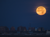 A perigee full moon, commonly known as a supermoon, sets over condo buildings located in Ville Saint-Laurent in Montreal on Monday, November 14, 2016. The moon will be making its closes approach to Earth since 1948 and will appear 7% larger and about 15% brighter than normal.