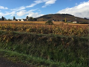 Each Cru of Beaujolais has its own variation on gamay. Brouilly tends to offer immediate drinkability.