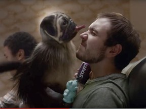 An image from a Mountain Dew spot featuring Puppy Monkey Baby. Bizarro and witless, writes Bill Brownstein.