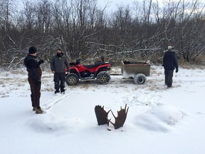 Two moose were frozen mid-fight and encased in ice near the remote village of Unalakleet, Alaska, on the state's western coast. The unusual discovery was made Nov. 2, by a Unalakleet teacher showing a friend near a Bible camp.