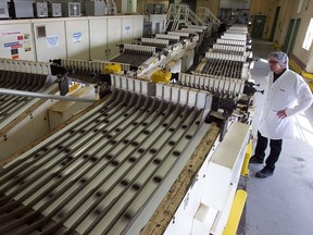 Cookie halves make their way down a conveyor belt during press tour of the Oreo assembly line in Montreal on Wednesday Feb. 29, 2012.