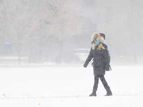 Apedestrian walks through Champ de Mars park on a snowy fall day in Montreal, Nov. 21, 2016.