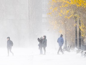 Pedestrians walk through Champ de Mars park on a snowy winter day in Montreal on Monday, November 21, 2016.