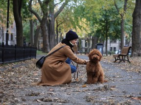 Nemo the poodle and Béatrice Martin (aka Coeur de Pirate) trot through the Carré St-Louis just off of St Denis street.