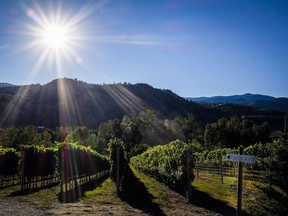 The Okanagan Valley in British Columbia is known for its wines, but B.C. wines are not so easy to find in Quebec.