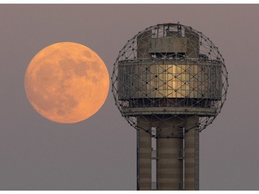 The moon rises behind Reunion Tower in downtown Dallas, Sunday evening, Nov. 13, 2016. On Monday the supermoon will be the closest full moon to earth since 1948, and it won't be as close again until 2034.