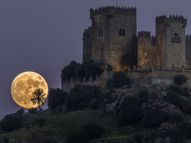 A moon rises behind the castle of Almodovar in Cordoba, southern Spain, Nov. 13, 2016. The Supermoon Nov. 14 will be the closest a full moon has been to Earth since January 26, 1948.