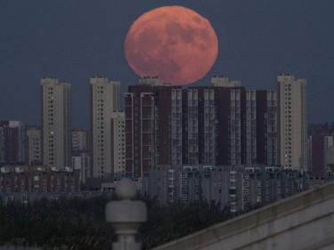 The moon rises from behind apartment buildings in Beijing, Nov. 14, 2016. The brightest moon in almost 69 years will be lighting up the sky this week in a treat for star watchers around the globe.