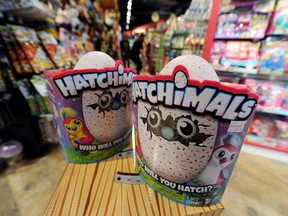 Hatchimal is the craze for this year's Christmas.