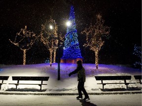 A skater glides past the Christmas tree in the centre of the skating rink on a snowy night at Beaver Lake December 18, 2008.
