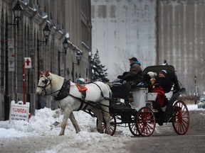 A calèche is seen on one of the streets of the Old Montreal on Dec.13, 2016. Montreal will inject $500,000 to "rehabilitate" calèches in Montreal.
