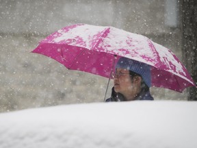 Cindy Yang, from Boston takes in the sights and the falling snow as her and her family walk along Notre-Dame St. in Old Montreal Dec. 29, 2016.