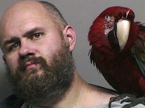 This booking photo provided by the Washington County Sheriff's office Dec. 1, 2016, shows Craig Buckner with his macaw, named "Bird." The 4-year-old macaw became an instant celebrity after appearing in the booking mug shot with his unfortunate owner.