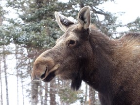 You do not want to meet this guy before he's had his morning cup o joe.