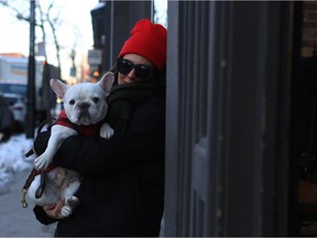 Elisabeth David and Romi the French Bulldog wait outside a popular Notre Dame St. coffee shop for a coconut latté.