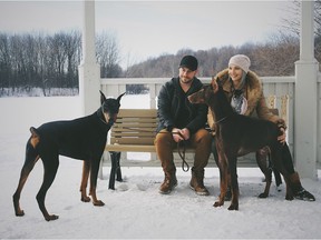 Lincoln, left, and Gunner the dobermans, with Maya the Chihuahua and owners Olivia and Lee Murphy enjoying the outdoors on a sunny morning. Paul Labonté, Montreal Gazette