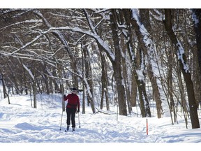 New network will have 20 kilometres of trails for cross-country skiers.