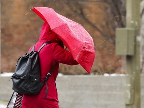 A woman takes shelter from freezing rain under her umbrella on Dr. Penfield Ave. in Montreal Jan. 24, 2017.