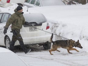 Quebec provincial police search the grounds around the Centre Culturel Islamique de Québec in Quebec City, Monday, Jan. 30, 2017.