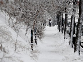 A pedestrian walks in a snow covered tunnel of branches on Cote-Sainte-Catherine Road in Montreal on Wednesday January 4, 2017. (Allen McInnis / MONTREAL GAZETTE)