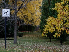 Once a buffer zone between industrial and residential zones, the area behind Brigadoon Ave. in Pointe-Claire, pictured in Oct., has been absorbed into backyards over decades. It is slated to become a bike path.