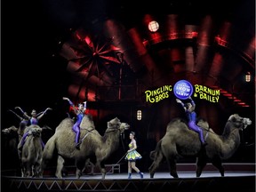 Ringling Bros. and Barnum & Bailey performers ride camels during a performance Saturday, Jan. 14, 2017, in Orlando, Fla. The Ringling Bros. and Barnum & Bailey Circus will end the "The Greatest Show on Earth" in May, following a 146-year run of performances. Kenneth Feld, the chairman and CEO of Feld Entertainment, which owns the circus, told The Associated Press, declining attendance combined with high operating costs are among the reasons for closing.