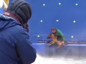 A dog appears to be forced into turbulent water during the filming of "A Dog's Purpose" near Winnipeg in this 2015 handout photo taken from video footage provided to TMZ.