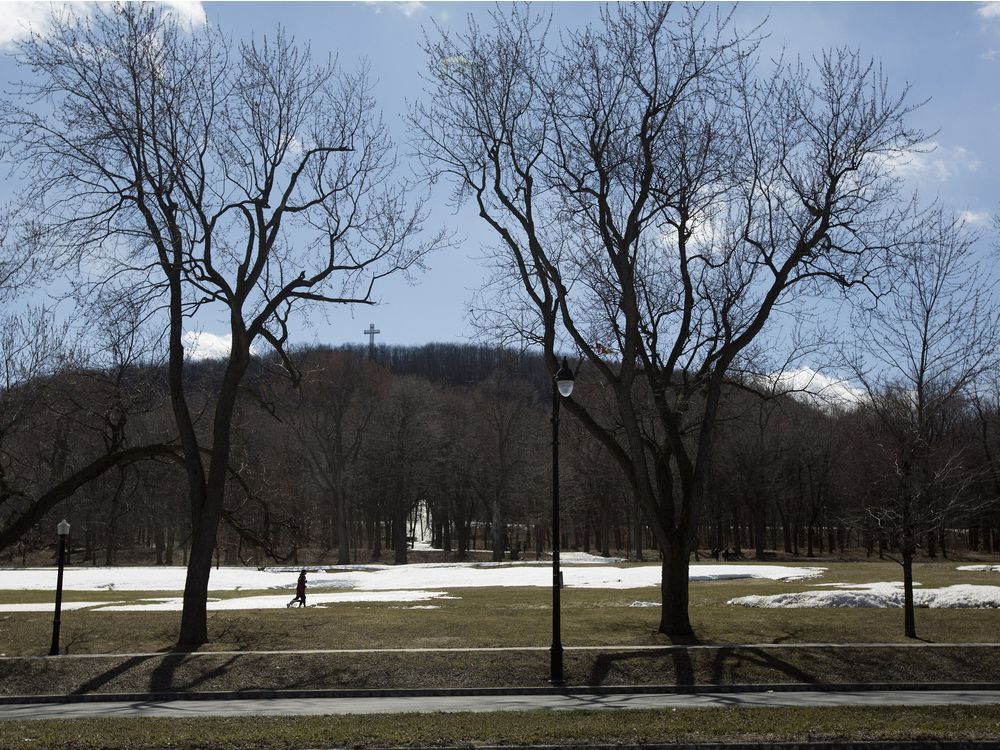 375,000 trees to be lasting legacy of Montreal's 375th celebrations